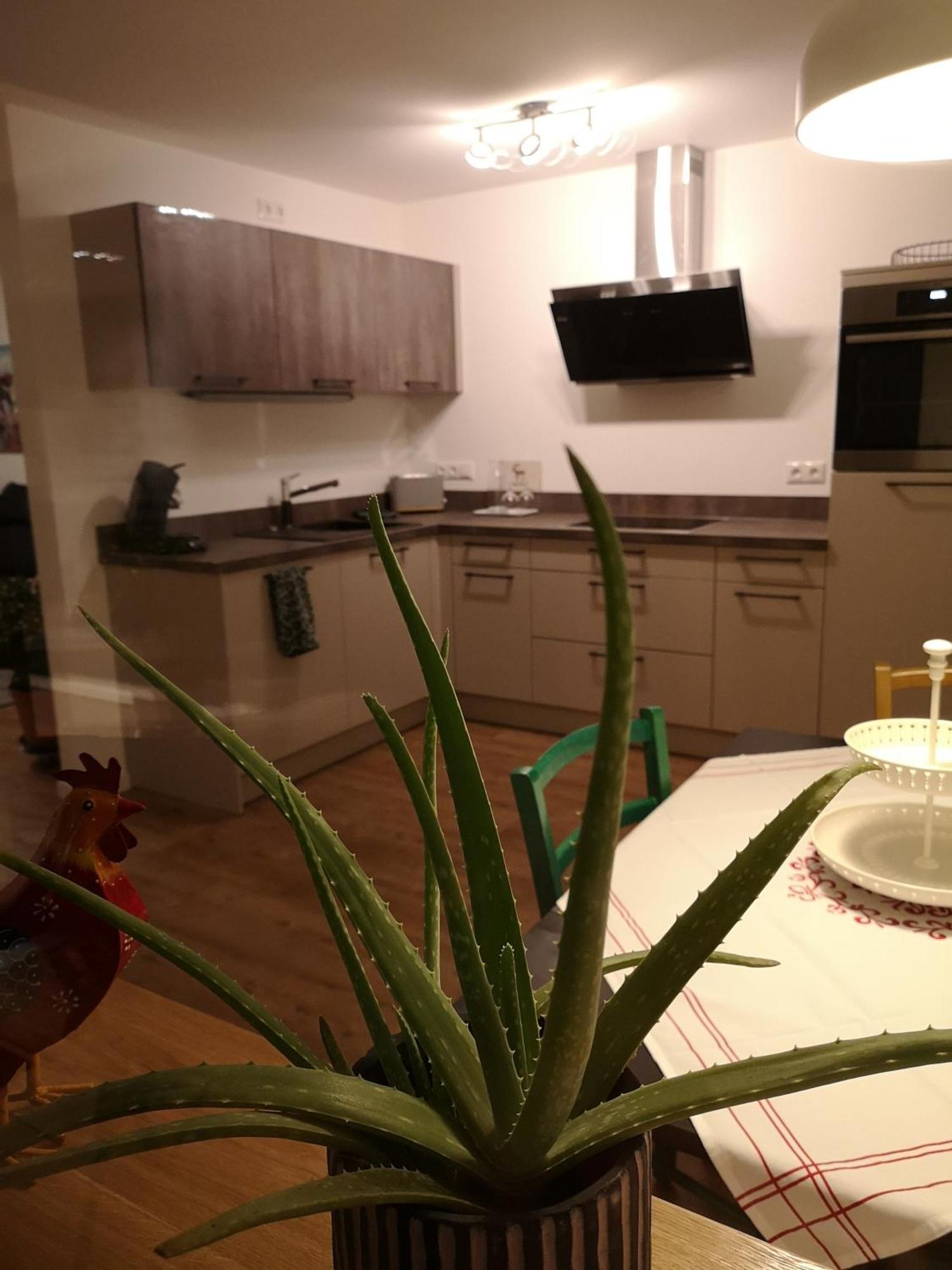 Inntalblick Nußdorf am Inn 客房 照片